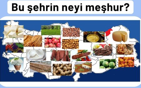 İnegöl mobilyası neden meşhur?